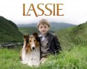 Lassie wallpaper