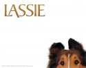 Lassie