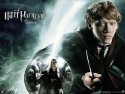 Harry Potter and the Order of the Phoenix wallpaper