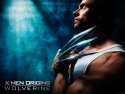 X-Men Origins: Wolverine wallpaper