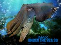 Under the Sea 3D wallpaper