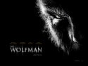 The Wolfman wallpaper